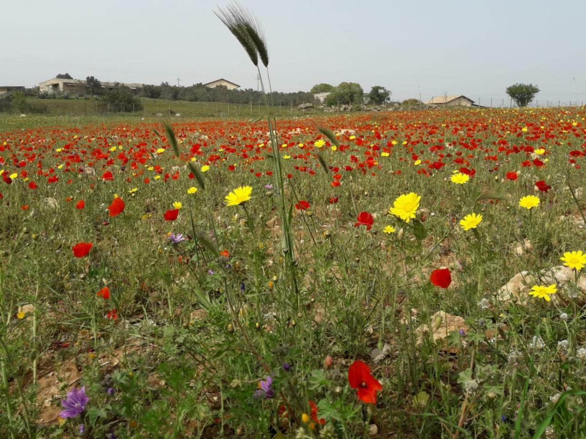 הוילה קלטג'ירונה Alla Romana מראה חיצוני תמונה